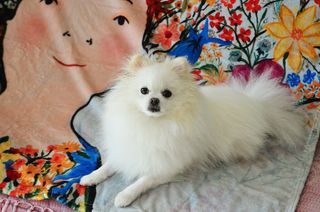 JAY님이 올린 리뷰 사진 3