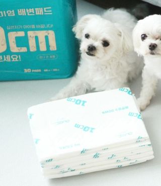 희온느님이 올린 리뷰 사진 2