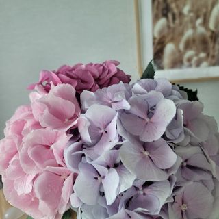 쭌뭉님이 올린 리뷰 사진 2
