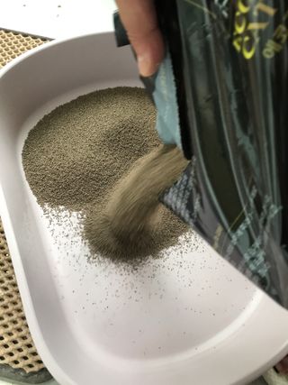 오필리뷰님이 올린 리뷰 사진 3