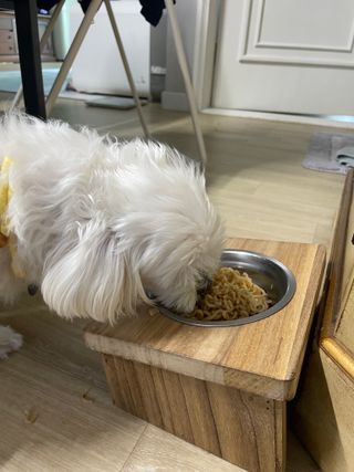 아모리님이 올린 리뷰 사진 3