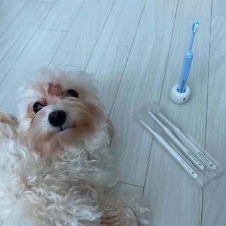 칸쵸님이 올린 리뷰 사진 4