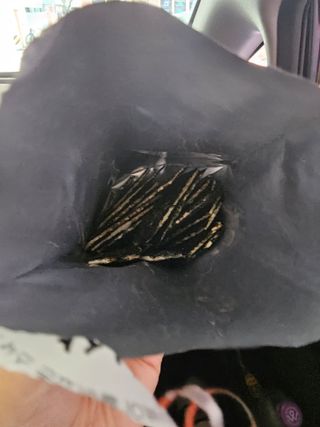 오늘도하루하루님이 올린 리뷰 사진 2