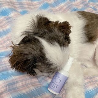 제리님이 올린 리뷰 사진 3