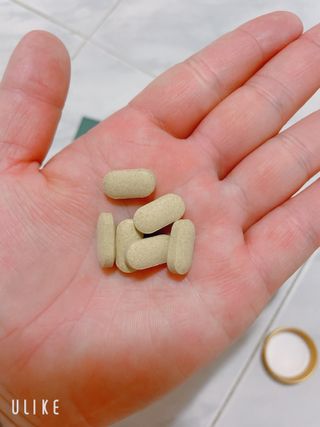 일편강심 여주정,마카정,새싹보리정,보스웰리아정,저분자콜라겐 — 4점을 준 리뷰어가 2021년 7월 올린 사용 사진