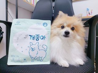 설탕님이 올린 리뷰 사진 1