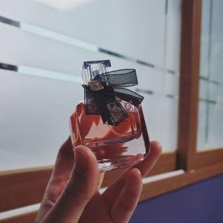덤보님이 올린 리뷰 사진 2