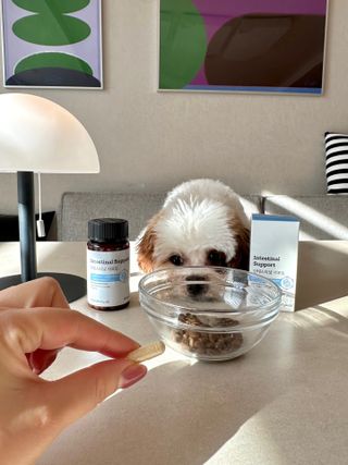 ISTJ지나일상님이 올린 리뷰 사진 3