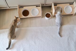 시나몬님이 올린 리뷰 사진 4