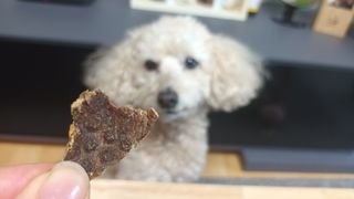 새돌댕댕님이 올린 리뷰 사진 4