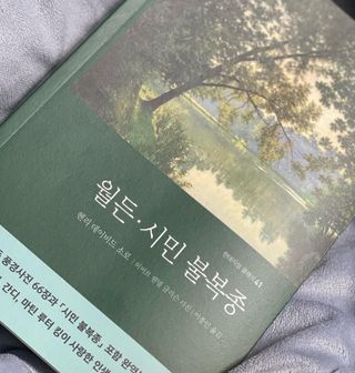 안광유진님이 올린 리뷰 사진 3