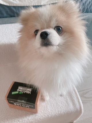 밍크마마님이 올린 리뷰 사진 1