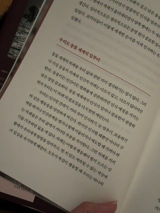 Bella님이 올린 리뷰 사진 2