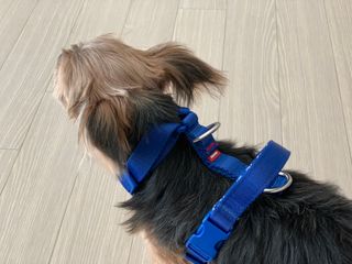 kkyubebe님이 올린 리뷰 사진 2