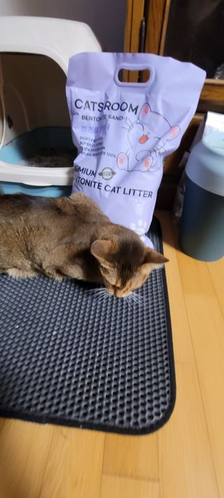 반짝님이 올린 리뷰 사진 2