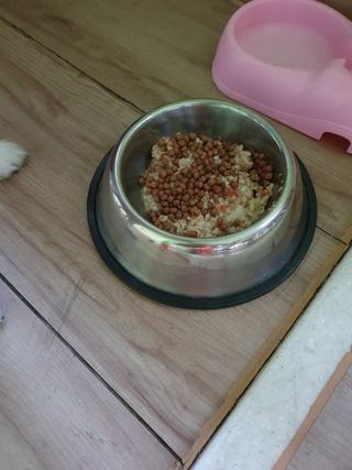 이쁜정똥이님이 올린 리뷰 사진 4