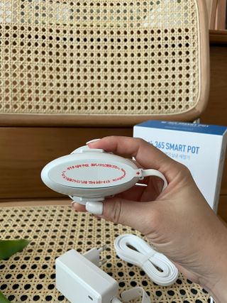 ccoyo님이 올린 리뷰 사진 4