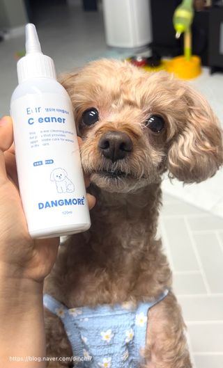 [댕모어 클리너 3종] 아이클리너 / 이어클리너 / 덴탈클리너 3종 세트 (120ml) — 5점을 준 리뷰어가 2023년 9월 올린 사용 사진