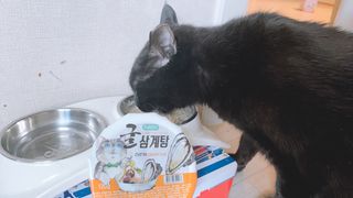 진영홍님이 올린 리뷰 사진 4