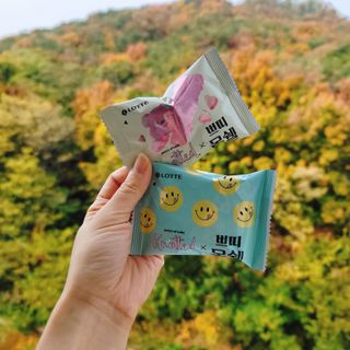 롯데제과 쁘띠몽쉘 마롱몽블랑 — 3점을 준 리뷰어가 2021년 11월 올린 사용 사진