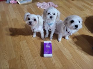필리브 엘라스틴 더 리프트 — 4점을 준 리뷰어가 2021년 9월 올린 사용 사진