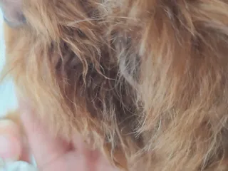연이님이 올린 리뷰 사진 3