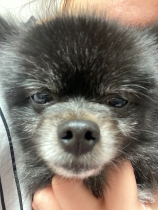 블리🥰님이 올린 리뷰 사진 2