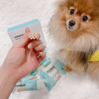 페페로니 클린플러스 덴탈오리껌 10g x 14p — 3.5점을 준 리뷰어가 2021년 7월 올린 사용 사진