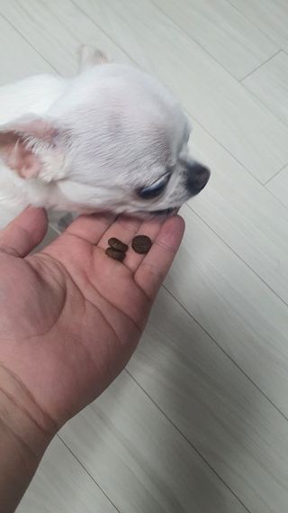 박쫑님이 올린 리뷰 사진 4