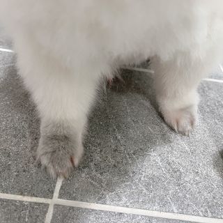 오랑이님이 올린 리뷰 사진 3