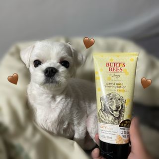버츠비 케어플러스 릴리빙포앤노즈로션 — 3.5점을 준 리뷰어가 2021년 4월 올린 사용 사진