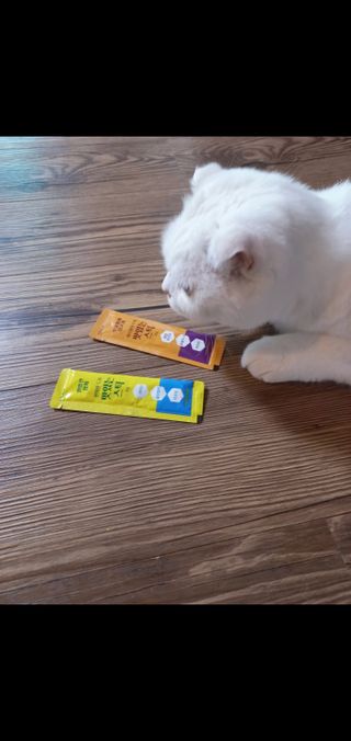 좋아님이 올린 리뷰 사진 1