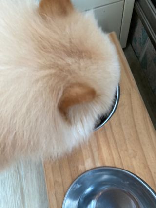 yoniyoni님이 올린 리뷰 사진 4