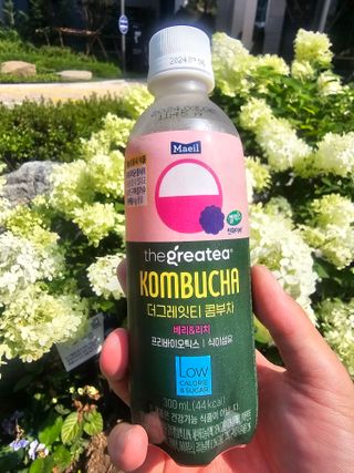 더그레잇티 콤부차 [매일유업] 더그레잇티 44kcal 콤부차 300ml *12개입 (오리지널 6개+베리리치 6개) — 5점을 준 리뷰어가 2023년 7월 올린 사용 사진
