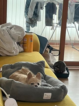 Lucy님이 올린 리뷰 사진 1