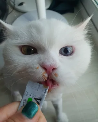 poochi님이 올린 리뷰 사진 2