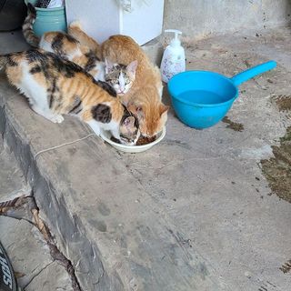 기린짱맘님이 올린 리뷰 사진 3