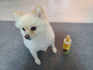 모르님이 올린 리뷰 사진 2