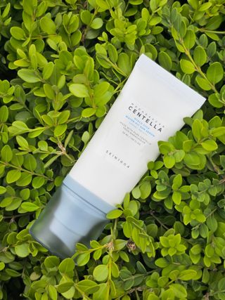 [스킨1004] 마다가스카르 센텔라 히알루-시카 워터핏 선세럼 50ml — 5점을 준 리뷰어가 2024년 5월 올린 사용 사진