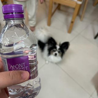 몽베스트 [MONTBEST] 330mL 20병 — 5점을 준 리뷰어가 2024년 3월 올린 사용 사진