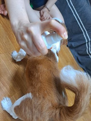 명남이님이 올린 리뷰 사진 3