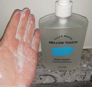 타포미 멜로우 터치 바디워시 500ml — 5점을 준 리뷰어가 2022년 12월 올린 사용 사진