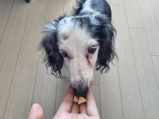 우리두리님이 올린 리뷰 사진 3