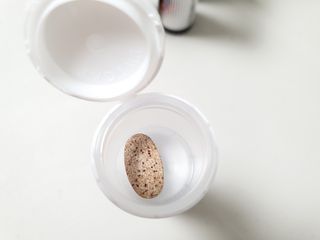 텃새님이 올린 리뷰 사진 4