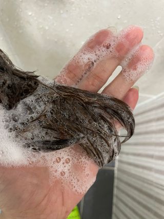 체코 비건화장품 마뉴팍투라 향좋은 천연 맥주샴푸 맥주샤워젤 — 5점을 준 리뷰어가 2022년 5월 올린 사용 사진