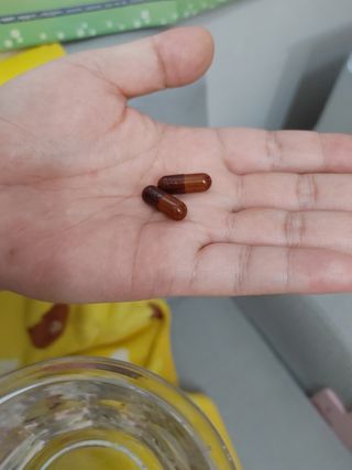 프리마인 홍삼의 강력한 에너지, 이제는 흡수율을 높인 최첨단 캡슐로 간편하게 초고속 충전하세요. — 3.5점을 준 리뷰어가 2022년 4월 올린 사용 사진