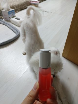 쮸동비님이 올린 리뷰 사진 2