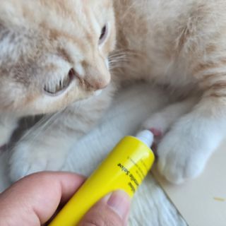 쭌뭉님이 올린 리뷰 사진 2