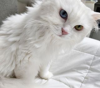 케이이이님이 올린 리뷰 사진 1