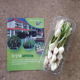 llast님이 올린 리뷰 사진 2